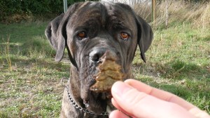 vlcsnap-2017-12-07-09h19m13s224