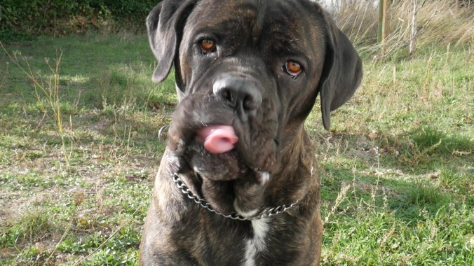 vlcsnap-2017-12-07-09h29m56s556