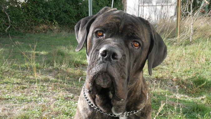 vlcsnap-2017-12-07-09h30m19s598